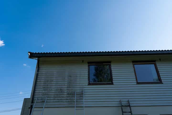 exterior mold removal services Troy
